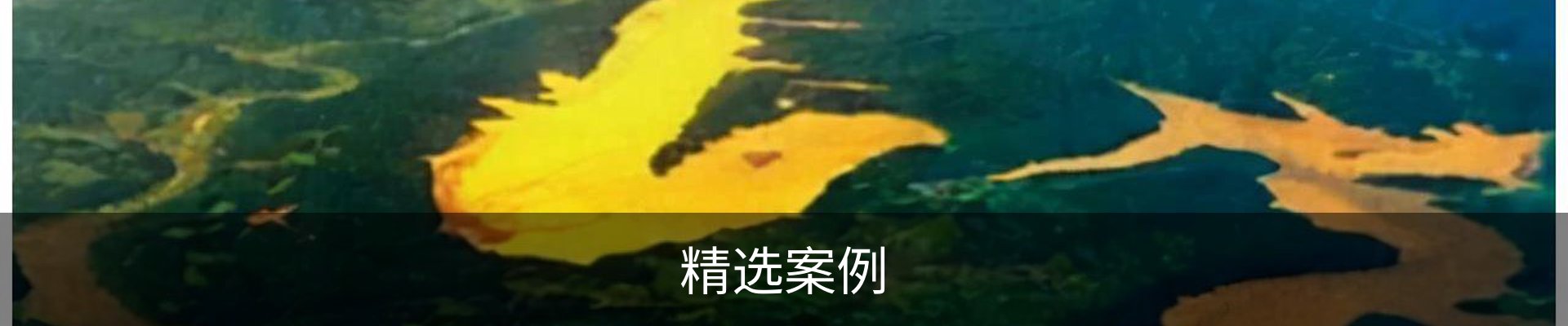 精选案例