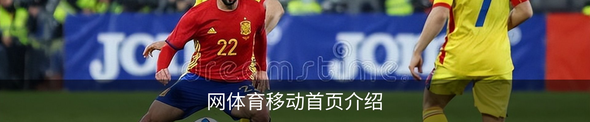 网体育移动首页介绍